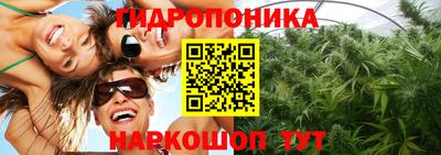 гидропоника Коммунар