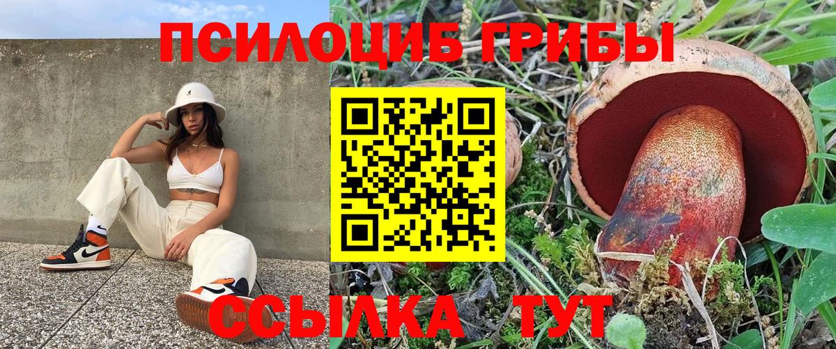 Галлюциногенные грибы мицелий Кострома
